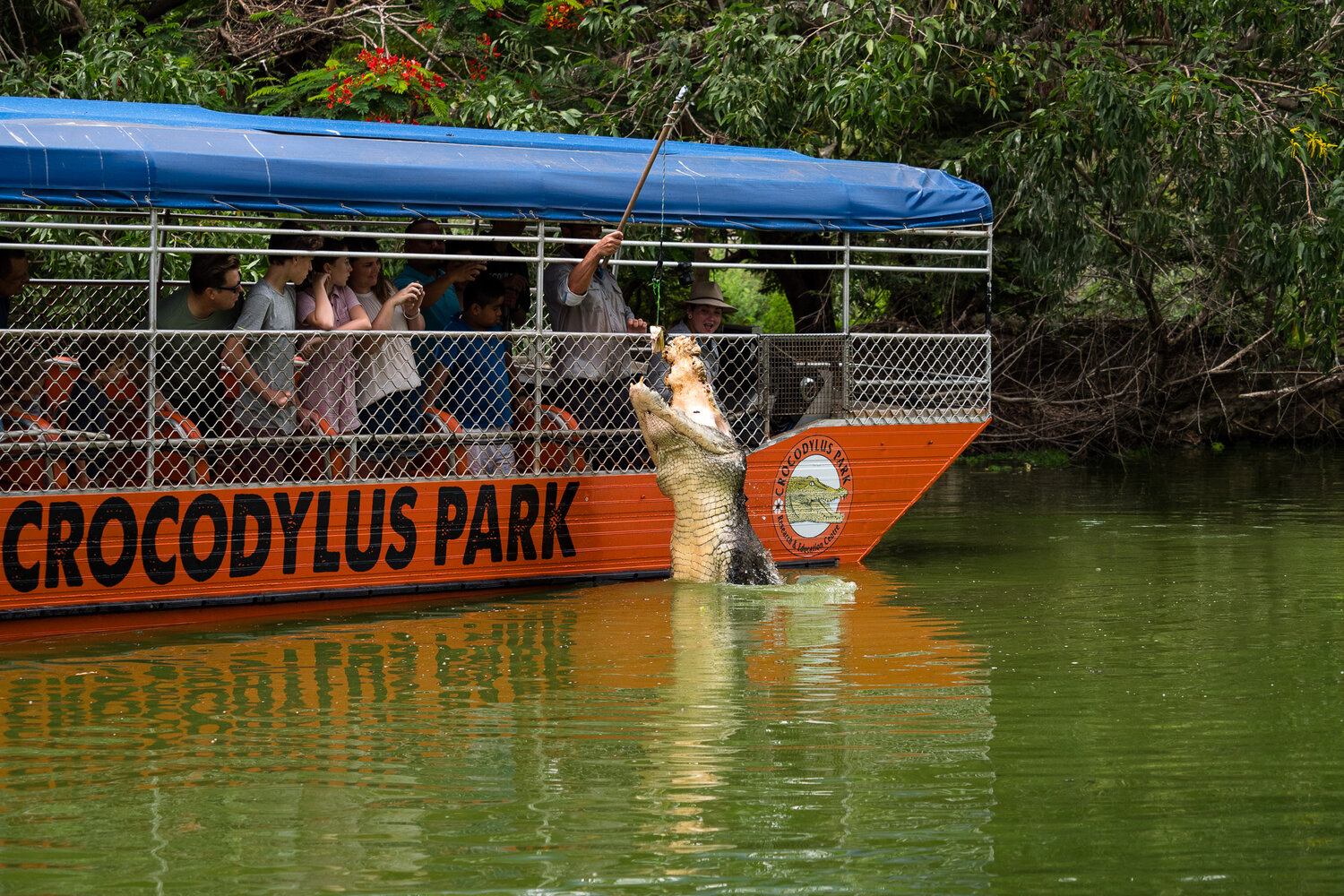 Shuttle Bus: Crocodylus Park